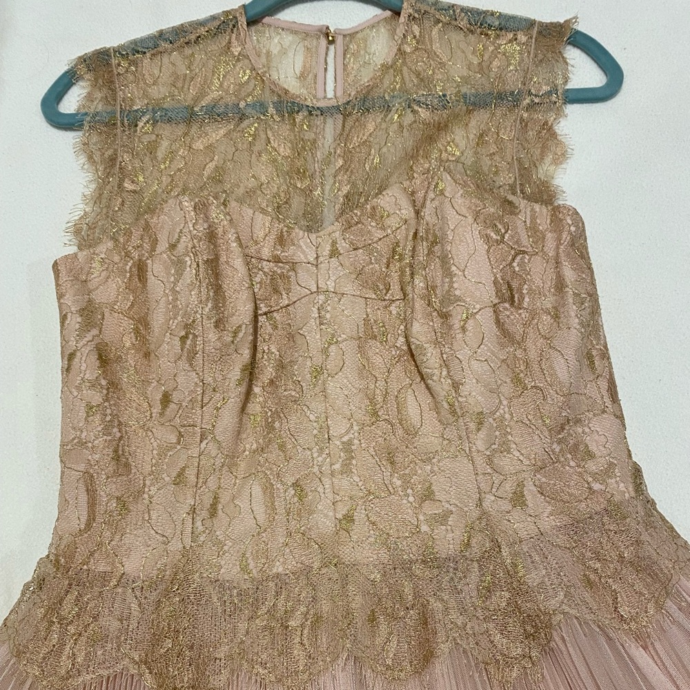 Gorgeous Ted Baker lace and tulle dress!
